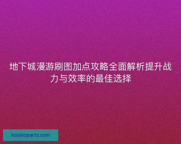 地下城漫游刷图加点攻略全面解析提升战力与效率的最佳选择